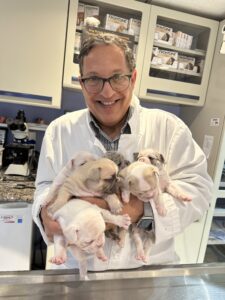 Dr. Alsamadisi (Dr. Sam) holding puppies