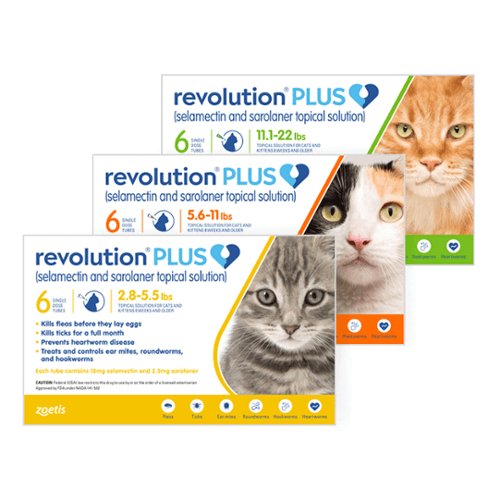 revolutionpluscats_0.png